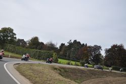 DSC_0494