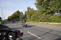 DSC_0182