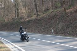 IMG_4541