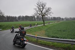 DSC_0381