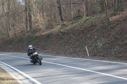 IMG_4537