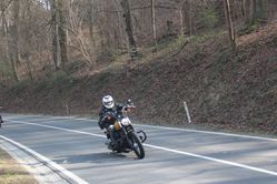 IMG_4538