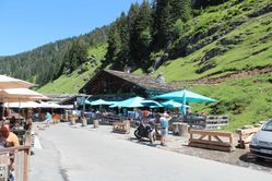 IMG_3131