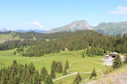 IMG_3092