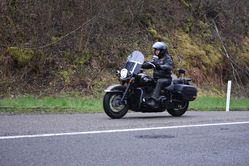 DSC_0464