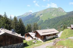 IMG_3152