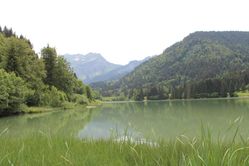 IMG_2874