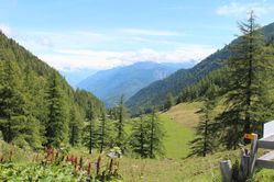 IMG_3008