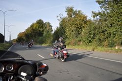 DSC_0183