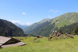 IMG_3178