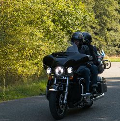 IMG_2529