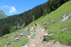 IMG_3181