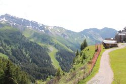 IMG_2894