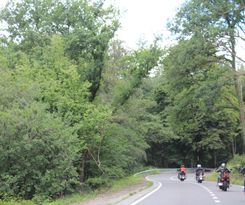 IMG_1764