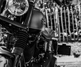 RO_NCB_2019 (455)