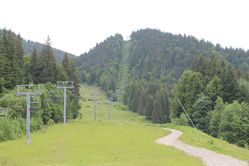IMG_2861