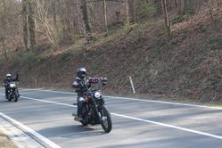 IMG_4517