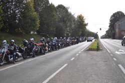 DSC_0481
