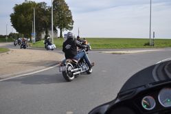 DSC_0516