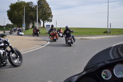 DSC_0517