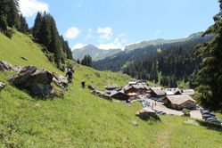 IMG_3179