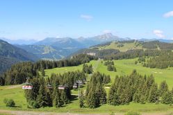 IMG_3093