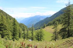 IMG_3009