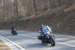 IMG_4533