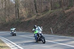 IMG_4551