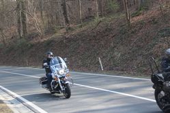 IMG_4525