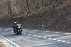 IMG_4528