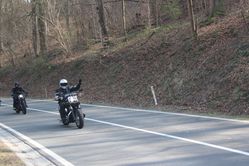 IMG_4519