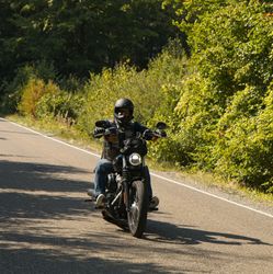 IMG_2595