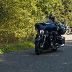 IMG_2542