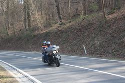 IMG_4545