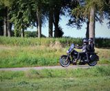 RO_NCB_2019 (447)