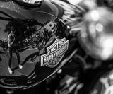 RO_NCB_2019 (477)
