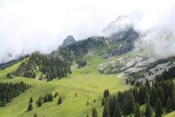 IMG_2988