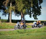 RO_NCB_2019 (431)
