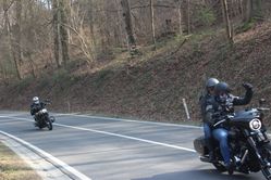 IMG_4536