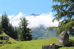IMG_3010