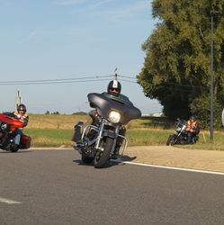 IMG_2352