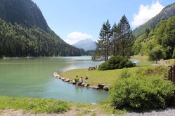 IMG_3200