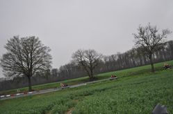 DSC_0374