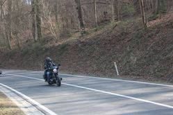 IMG_4534