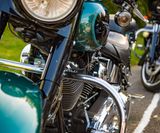 RO_NCB_2019 (319)