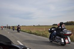 DSC_0547