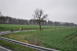 DSC_0380