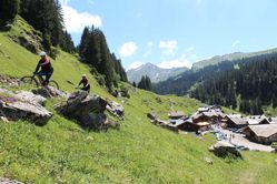 IMG_3180