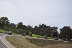 DSC_0495